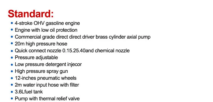gasoline pressure washer details
